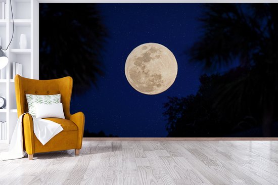 Papier peint photo vinyle - Une pleine lune dans un ciel nocturne bleu avec des étoiles largeur 465 cm x hauteur 260 cm - Tirage photo sur papier peint (disponible en 7 tailles)