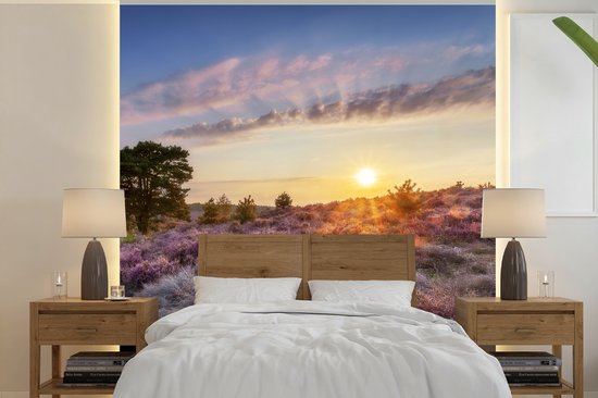 Behang - Fotobehang Heide bij zonsondergang - Breedte 260 cm x hoogte 260 cm