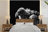 Behang - Fotobehang een gier met gouden en zilveren veren - zwart wit - Breedte 300 cm x hoogte 300 cm