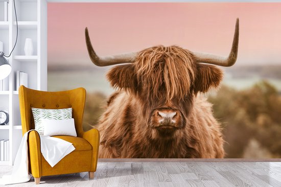 Papier peint - Papier peint photo Vache - Highlander écossais - Animal - Largeur 525 cm x hauteur 350 cm