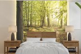 Behang - Fotobehang Bos - Pad - Zonsopgang - Breedte 240 cm x hoogte 240 cm