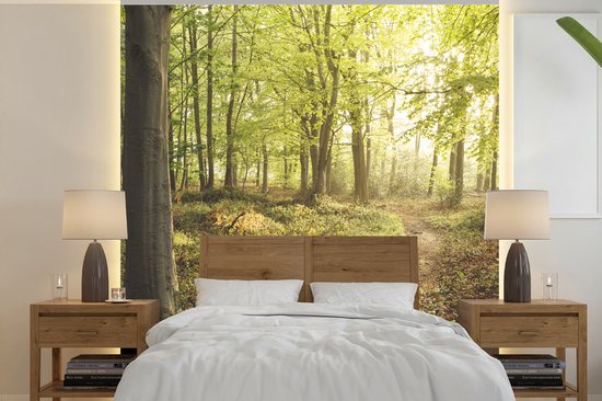 Behang - Fotobehang Bos - Pad - Zonsopgang - Breedte 240 cm x hoogte 240 cm