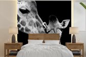 Behang - Fotobehang Dieren - Zwart - Wit - Giraffe - Portret - Breedte 240 cm x hoogte 240 cm