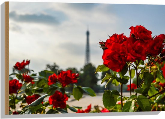 Hout - Rode Rozenstruik voor Eiffeltoren in Parijs, Frankrijk - 75x50 cm - 9 mm dik - Foto op Hout (Met Ophangsysteem)
