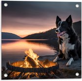 Tuinposter – Bordercollie Hond Liggend langs Kampvuur aan het Water - 50x50 cm Foto op Tuinposter (wanddecoratie voor buiten en binnen)