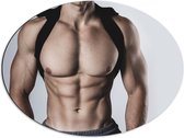 Dibond Ovaal - Bodybuilder Lichaam van Man tegen Witte Achtergrond - 68x51 cm Foto op Ovaal (Met Ophangsysteem)