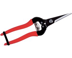 ARS300LR - Fruitschaar 19cm, recht, rood