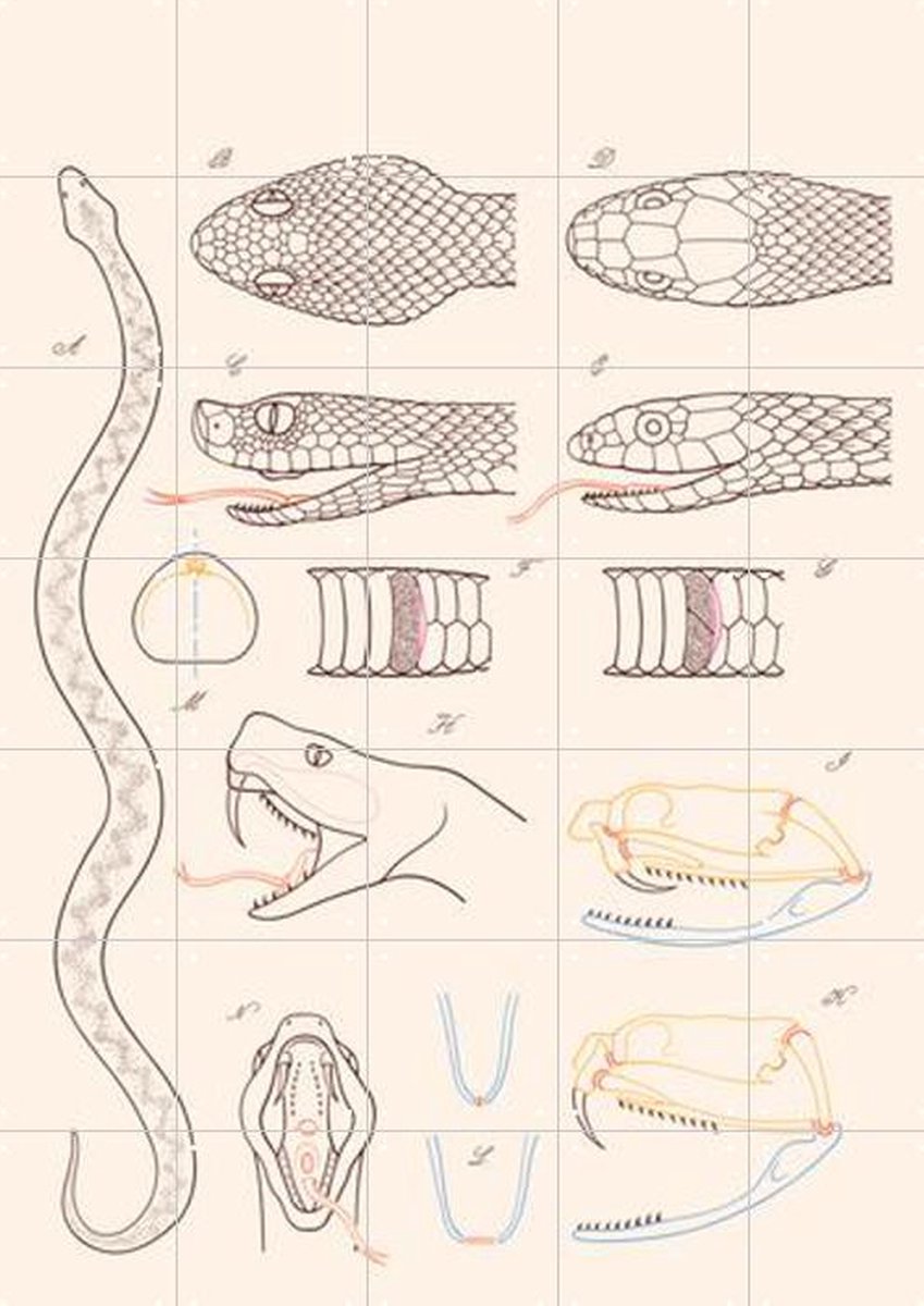 919191_5 919191_5