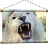 WallClassics - Affiche textile - Lion mâle Witte rugissant - 60x40 cm Photo sur textile