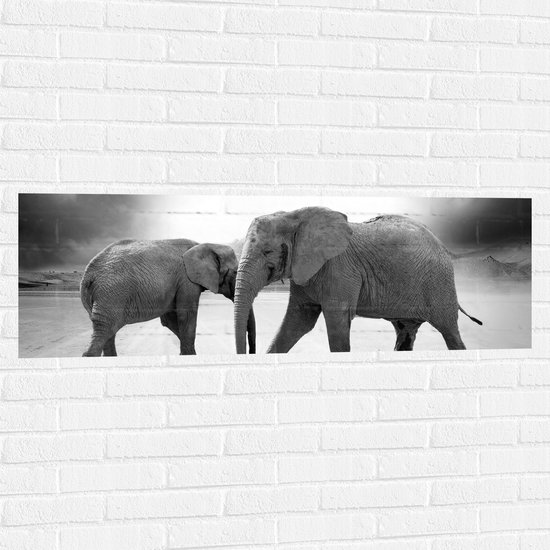 WallClassics - Muursticker - In Lijn Lopende Olifanten (Zwart wit) - 120x40 cm Foto op Muursticker