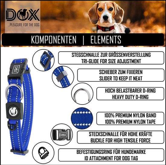 CollarDirect Reflektierendes Hundehalsband, Martingale-Halsbänder, seitliche Schnalle, Kette Training, verstellbare Haustier Halsbänder (Minzgrün, S, 30-37 cm