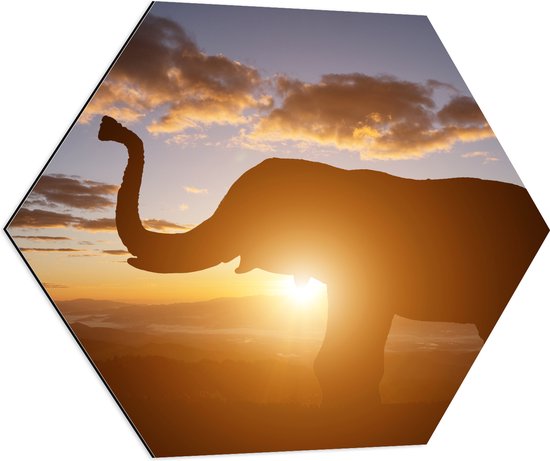 Dibond Hexagon - Zonnestralen achter Olifant omringd door Wolken - 80x69.6 cm Foto op Hexagon (Met Ophangsysteem)