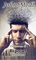 Workings of a Bipolar Mind 4 - The Entropy of Bipolar Disorder