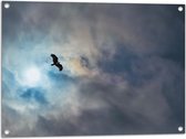 WallClassics - Tuinposter – Vliegende Roofvogel in de Lucht - 80x60 cm Foto op Tuinposter (wanddecoratie voor buiten en binnen)