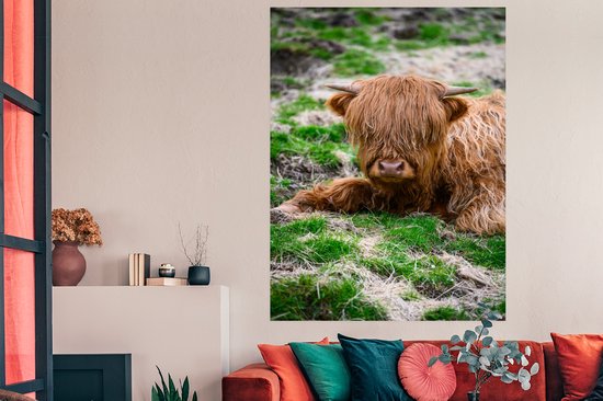 Papier poster au repos des Highlands écossais 120x180 cm - Tirage photo sur Poster (décoration murale salon / chambre) / Poster Animaux sauvages XXL / Groot format!