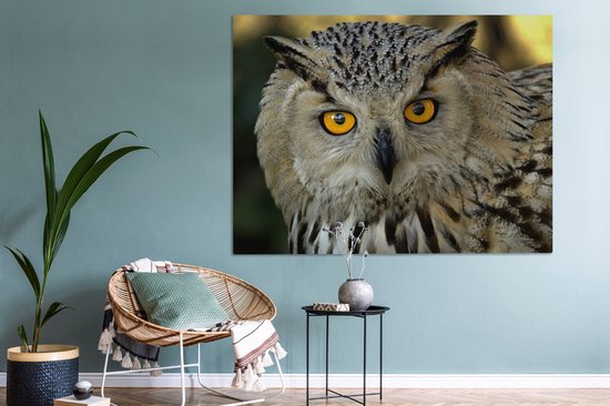 Photo d'une toile européenne hibou grand-duc d'Asie 160x120 cm - Tirage photo sur toile (Décoration murale salon / chambre) XXL / Groot format!