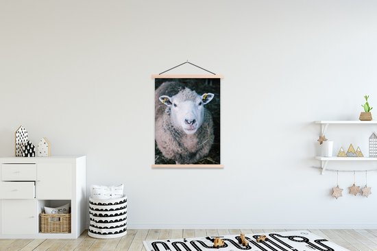 Porte-affiche avec affiche - Affiche scolaire - Moutons - Animaux - Bovins - 90x120 cm - lattes vierges