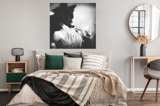 Poster Kennismaking tussen hond en vos - 100x100 cm XXL
