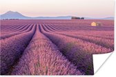 Uitgerekt paars lavendelveld Poster 90x60 cm - Foto print op Poster (wanddecoratie woonkamer / slaapkamer)