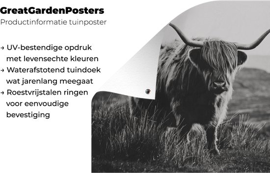 Décoration murale extérieure Highlander écossais - Nature - Vaches - Animaux - Zwart et blanc - 160x120 cm - Toile de jardin - Affiche extérieure