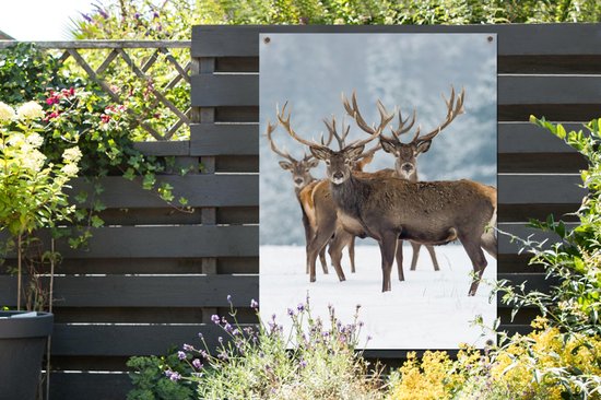 Affiche jardin - Toile jardin - Posters de jardin extérieur - Cerf - Animaux - Neige - Hiver - Paysage - Nature - 90x120 cm - Jardin