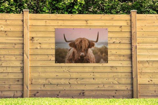 Affiche de jardin Vache - Highlander écossais - Animal - 120x80 cm - Jardin