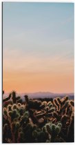 WallClassics - Dibond - Cylindropuntia Fulgida Plantjes voor Berglandschap met Oranje Lucht - 50x100 cm Foto op Aluminium (Met Ophangsysteem)