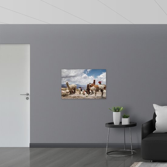 WallClassics - Panneau de mousse PVC - Alpagas en Montagnes avec décoration rouge - Photo 90x60 cm sur panneau de mousse PVC (avec système de suspension)