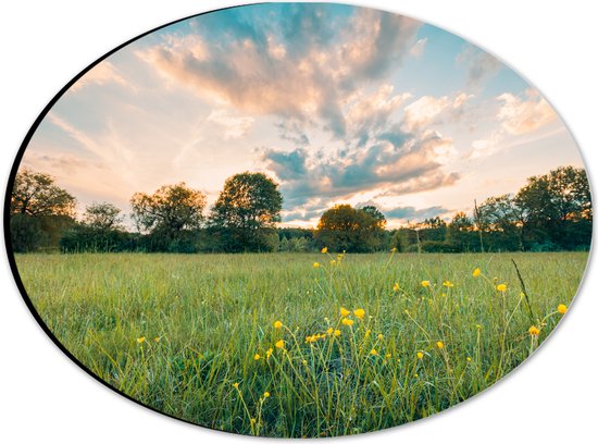 Dibond Ovaal - Zonsondergang onder een Landschap met Gele Bloemen - 28x21 cm Foto op Ovaal (Met Ophangsysteem)