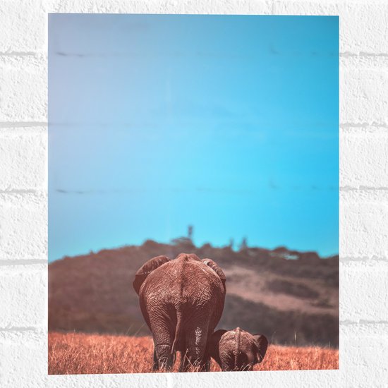 WallClassics - Muursticker - Moeder en Baby Olifant tussen het Hoge Gras - 30x40 cm Foto op Muursticker