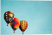 WallClassics - Acrylglas - Gekleurde Luchtballonnen in de Lucht - 60x40 cm Foto op Acrylglas (Wanddecoratie op Acrylaat)