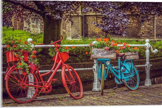 WallClassics - Acrylglas - Rode en blauwe Fiets met Bloemen bij wit Hek voor de Gracht - 60x40 cm Foto op Acrylglas (Wanddecoratie op Acrylaat)