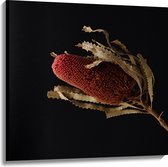 Canvas - Tak met Rode Plant tegen Zwarte Achtergrond - 100x100 cm Foto op Canvas Schilderij (Wanddecoratie op Canvas)