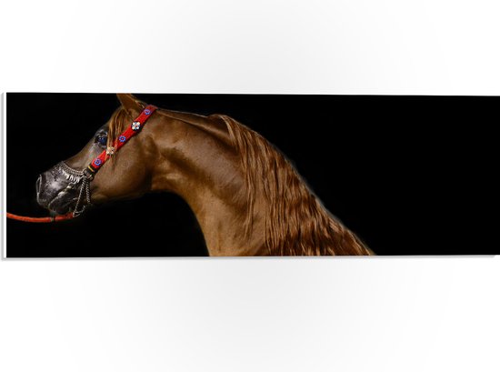 WallClassics - PVC Schuimplaat - Zijkant van Bruin Paard tegen Zwarte Achtergrond - 60x20 cm Foto op PVC Schuimplaat (Met Ophangsysteem)