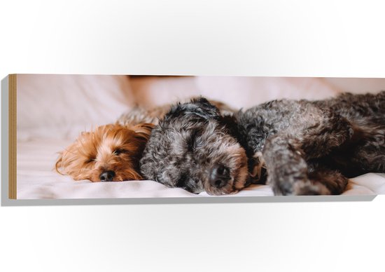 Bed Rok Standaard Geplooide Wieg Bed Rok Witte Lakens toevoegen voor