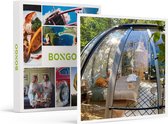 Bongo Bon - 2 DAGEN ONDER DE STERREN IN DE ARDENNEN - Cadeaukaart cadeau voor man of vrouw