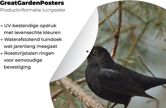 Garden Circle Vogel - Blackbird - Branches - Animaux - 120x120 cm - Affiche Ronde de Jardin - Extérieur XXL / Groot format !