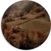 Dibond Muurcirkel - Bomen op Berg met Mist van Wolken - 80x80 cm Foto op Aluminium Muurcirkel (met ophangsysteem)