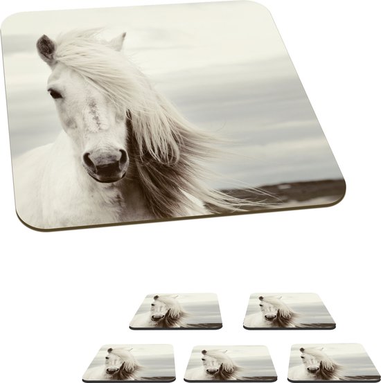 Dessous de Sous-verres - Cheval - Plage - Crinière - 10x10 cm - Dessous de verre - 6 pièces