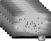 Placemat - Placemats kunststof - Dieren - Vogels - Wolken - Zwart - Wit - 45x30 cm - 6 stuks - Hittebestendig - Anti-Slip - Onderlegger - Afneembaar