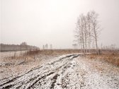 Fotobehang - Winter field.