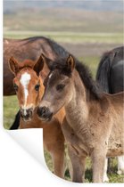 Stickers muraux - Film autocollant - Paarden - Animaux - Fourrure - Prairie - 80x120 cm - Film adhésif - Stickers muraux Chambre d'enfant - Papier peint autocollant - Papier peint autocollant - Film autocollant