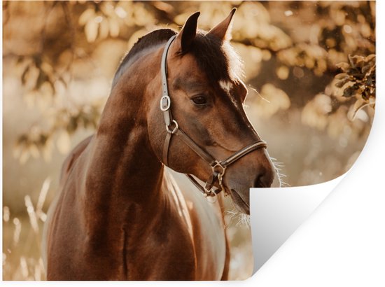 Stickers muraux - Sticker Foil - Cheval - Soleil - Portrait - Nature - Marron - 40x30 cm - Film Adhésif - Stickers muraux Chambre Enfant - Papier Peint Autocollant