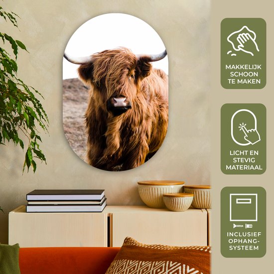 Ovale Mural - Ovale Mural - Décoration murale Plastique - Peinture Ovale - Highlander écossais - Paysage - Vache - Marron - Animaux - Nature - 60x90 cm - Forme miroir ovale sur plastique