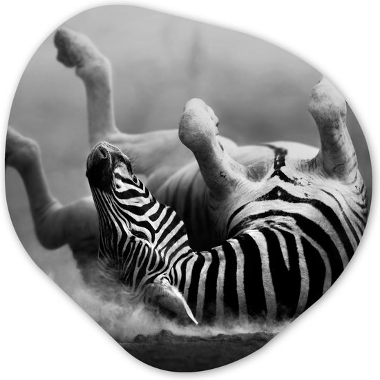 Organische Wanddecoratie - Kunststof Muurdecoratie- Organisch Schilderij - Zebra - Dieren - Zwart - Wit- 60x60 cm - Organische spiegel vorm op kunststof
