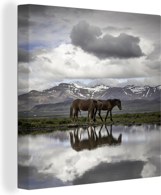 Canvas Schilderij Paarden - IJsland - Natuur - 50x50 cm - Wanddecoratie