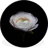 WallCircle - Cercle Mural - Cercle Mural - Bloem - Zwart - Wit - Aluminium - Dibond - 90x90 cm - Intérieur et Extérieur
