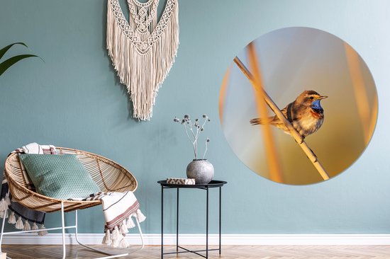 WallCircle - Wall Circle - Wall Circle Indoor - Vogels - Gorgebleue à miroir - Roseaux - 120x120 cm - Décoration murale - Peintures Ronds XXL