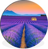 WallCircle - Wandcirkel - Muurcirkel - Lavendel - Paars - Bloemen - Aluminium - Dibond - ⌀ 90 cm - Binnen en Buiten