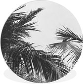 WallCircle - Wandcirkel 60x60 - Palmbladeren - Natuur - Vintage - Palmboom - Ronde schilderijen woonkamer - Wandbord rond - Muurdecoratie cirkel - Kamer decoratie binnen - Wanddecoratie muurcirkel - Woonaccessoires